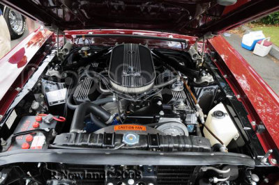 g5/85/856185/3/101002252.nAHcvItN.jpg