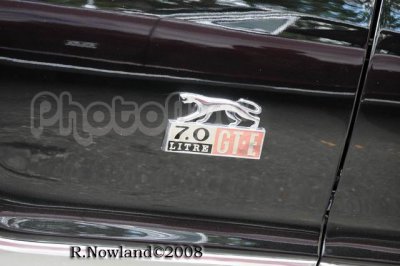DSC_2595.jpg