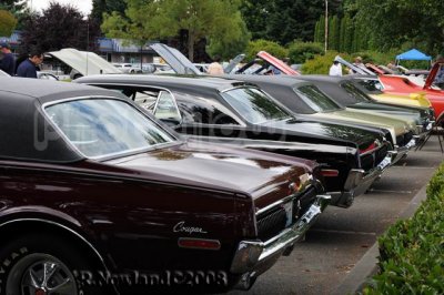 DSC_2598.jpg