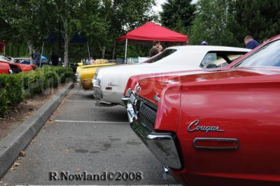 DSC_2599.jpg
