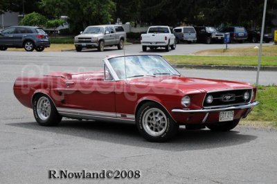 DSC_2603.jpg