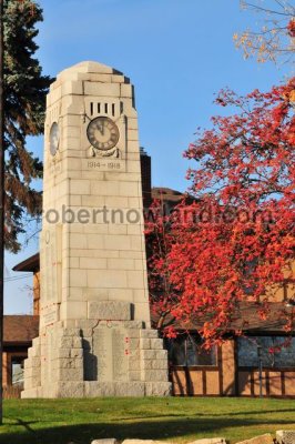 7885 cenotaph.jpg