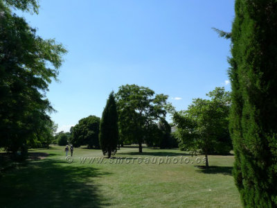 g5/85/897485/3/118944881.9zMLSklD.jpg