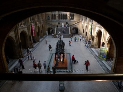 g5/85/897485/3/118944907.Ks5PyN1d.jpg