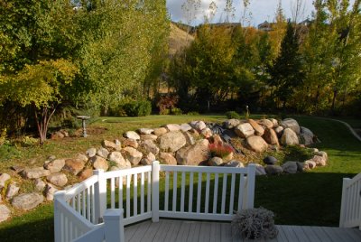 My Backyard