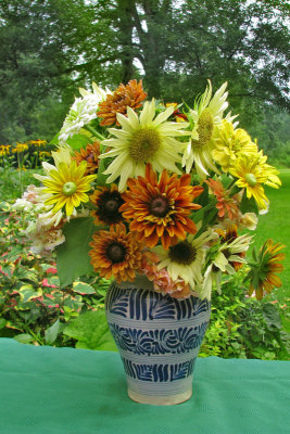 SunflowersRudbeckia3046w.jpg