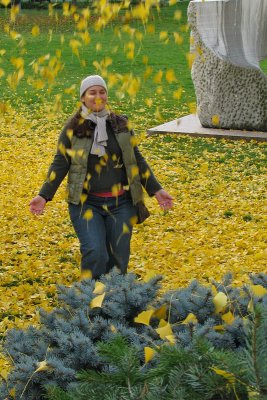 Gingko4936w.jpg