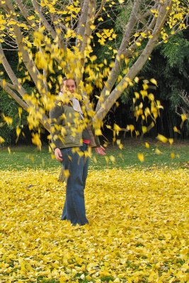 Gingko4940w.jpg