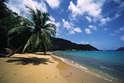 Tobago Beach