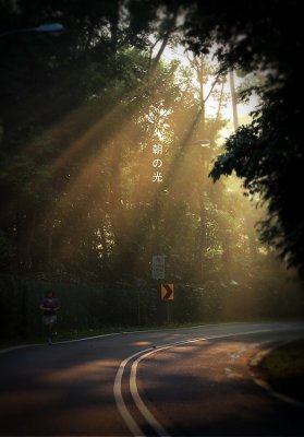 Morning rays