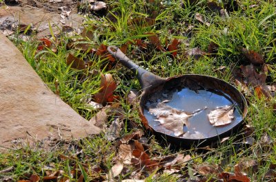 Abandoned Skillet