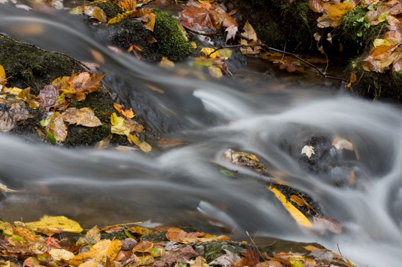 Elkmont nature trail