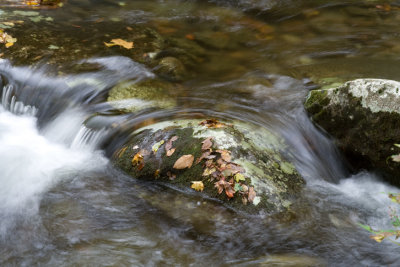 Little River closeup 1