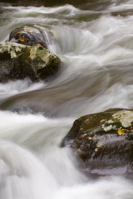 Little River closeup 2