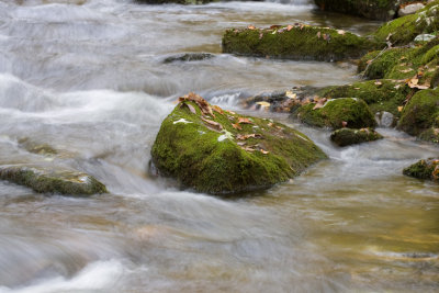 Little River closeup 3