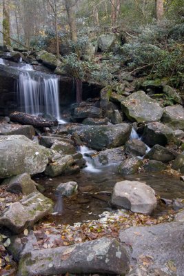 Rainbow Falls trail 6