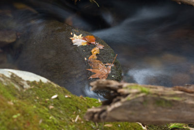 water closeup 3