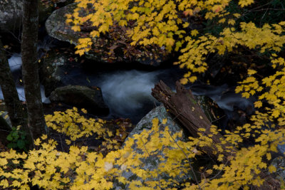 Laurel Falls downstream