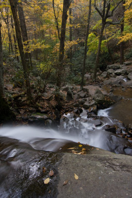 Laurel Falls overlook 2