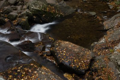 Laurel Falls overlook 5