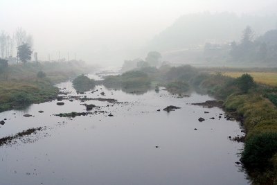 fog over river in 