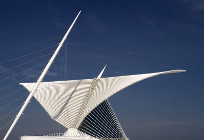 Museum Wings