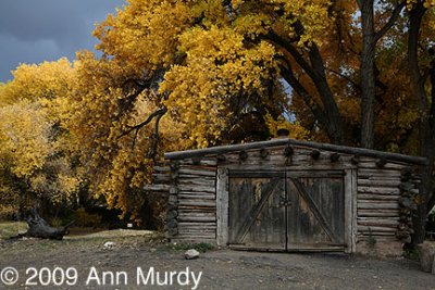 The Blacksmith Shop