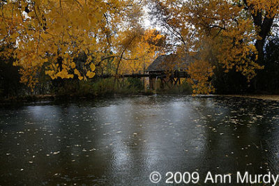  Big Mill and pond