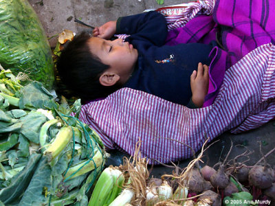 Boy Sleeping in Market