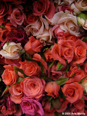 Roses in Market
