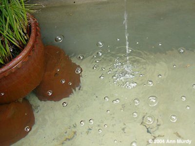 Water and bamboo