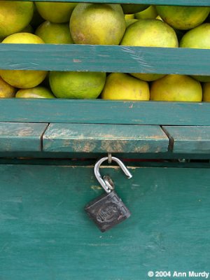 Lime cart with lock