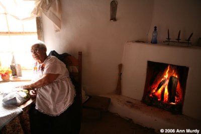 Fire in Baca House