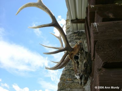 Valles Caldera Elk Lodge