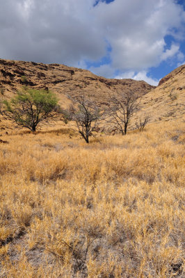 Hiking