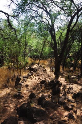More hiking