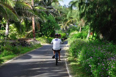 Biking back