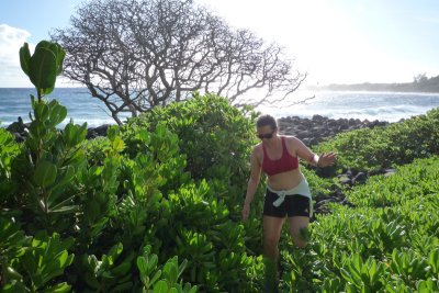 More from the run