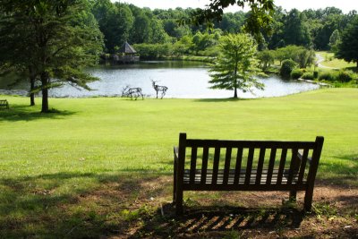 Afternoon in the Park