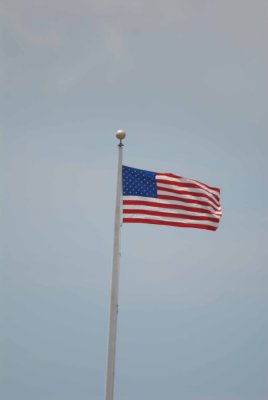 AP8_3196_c.jpg