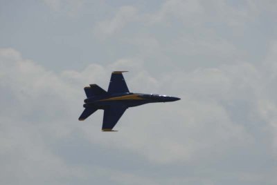 g5/86/818886/3/99945078.f60S0sNX.jpg