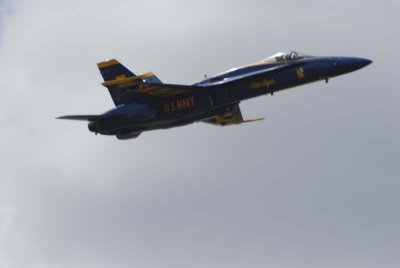 2008 June BAngels-431.jpg