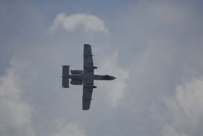 2008 June BAngels-83.jpg