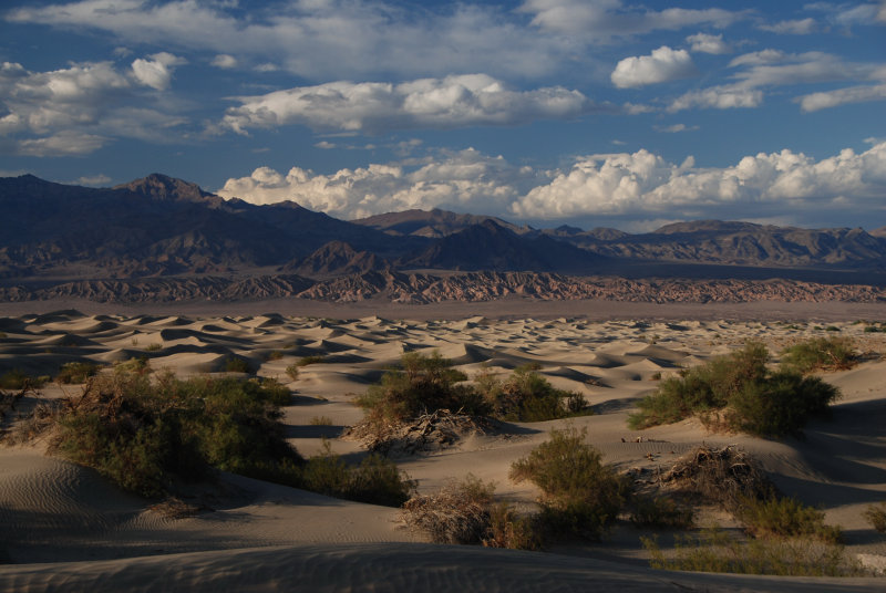 Dunes 1.JPG