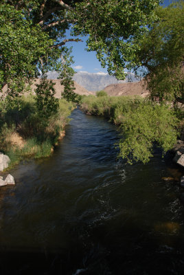 Owens River 2.JPG