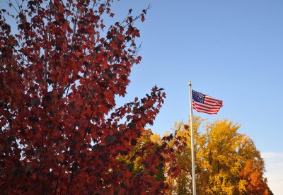 DSC_4766_1.jpg