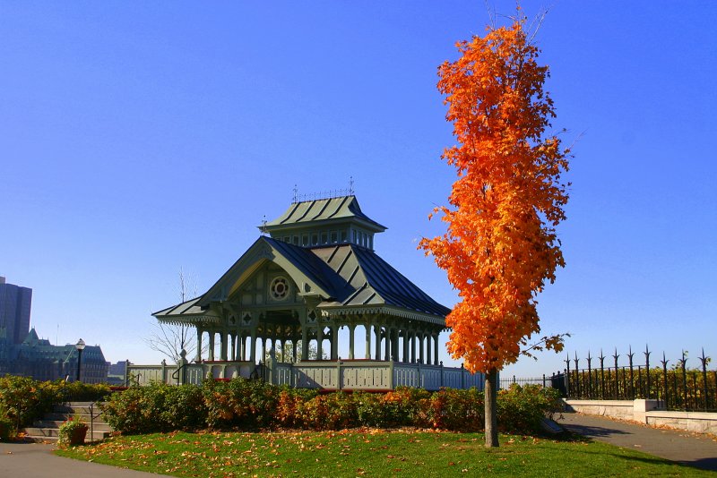 Shelter on The Hill