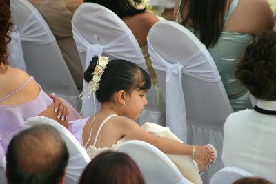 Little Wedding Guest