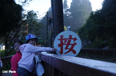 DSC_4391.jpg