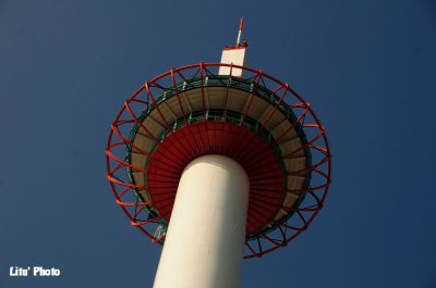 DSC_7992.jpg